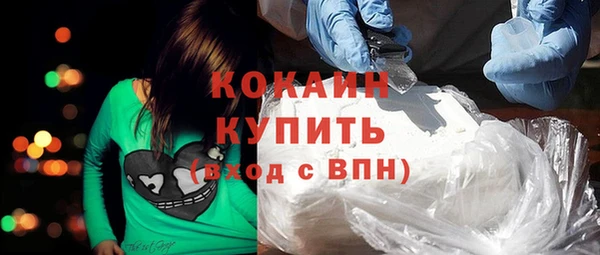 спиды Бородино