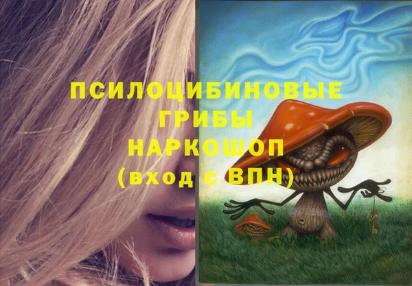 мдпв Бугульма
