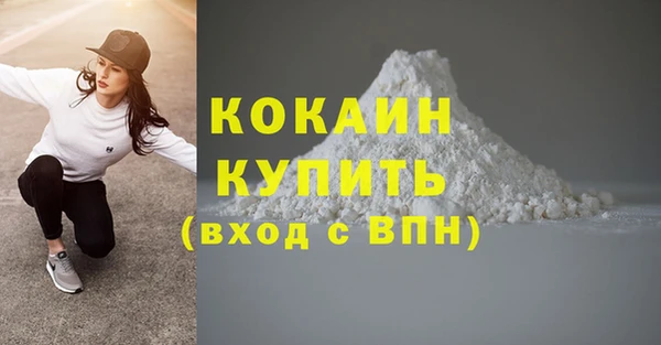 спиды Бородино