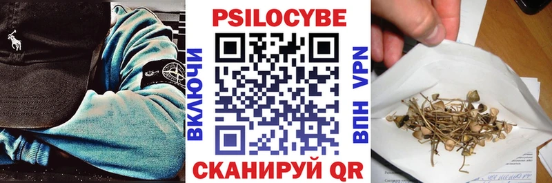 купить наркотик Славянск-на-Кубани Псилоцибиновые грибы Cubensis