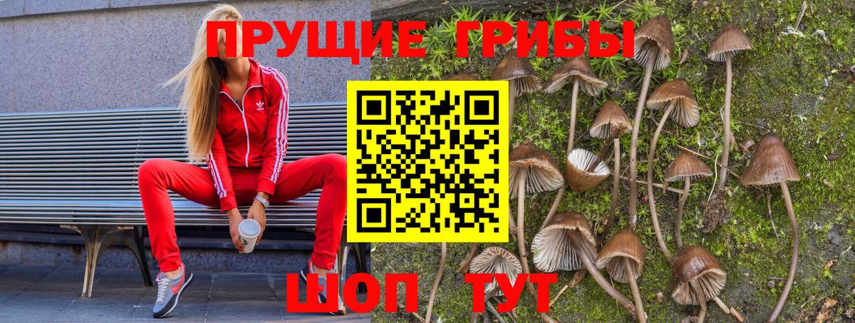 Псилоцибиновые грибы Magic Shrooms Славянск-на-Кубани