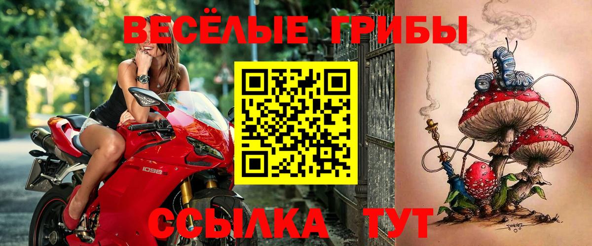 Псилоцибиновые грибы Psilocybe  Вход с VPN  Славянск-на-Кубани  Галлюциногенные грибы Psilocybe 